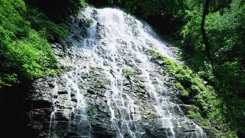 自动化节能